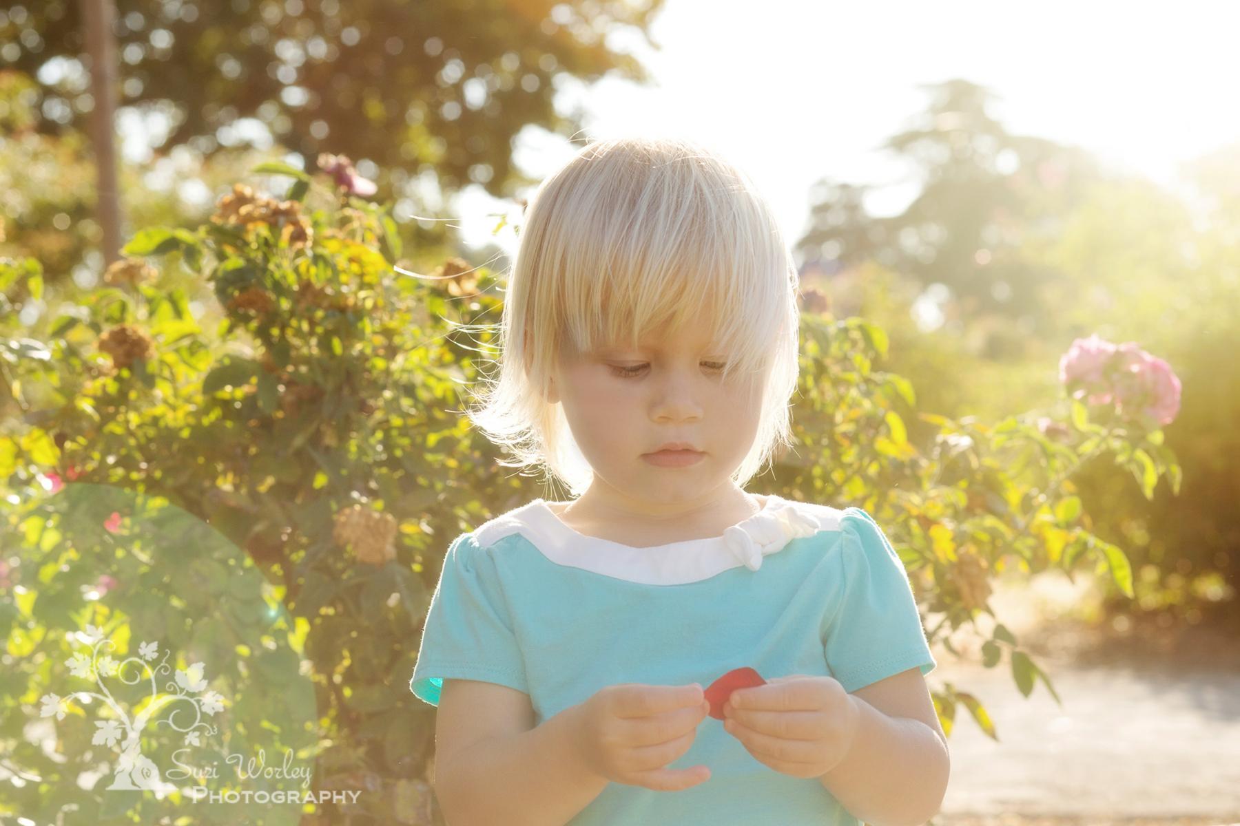 A toddler in the rose garden.  #SuziWorleyPhotography #Portraits #toddler #Daughter #flowers